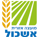 אשכול